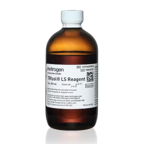 美國Invitrogen TRIzol LS試劑 RNA DNA 有機提取 10296028CN