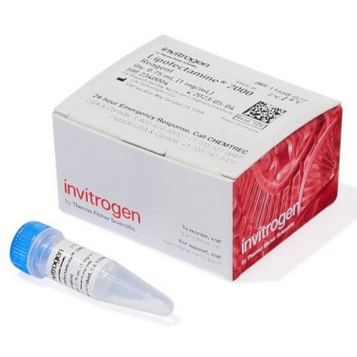 Life賽默飛Invitrogen Lipofectamine 2000轉(zhuǎn)染試劑11668027