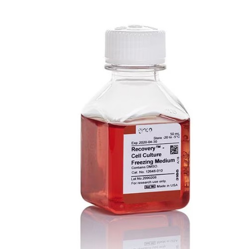 Thermo賽默飛Recovery培養(yǎng)基 細(xì)胞培養(yǎng)凍存12648010