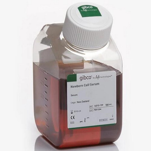 Life Gibco進(jìn)口新生牛血清，新西蘭來源16010142、16010159