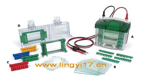 Bio-Rad美國伯樂小垂直板電泳槽,手灌制膠大?。?.3&times;7.3cm; 凝膠數：1-4塊,1.0mm厚 ,10孔