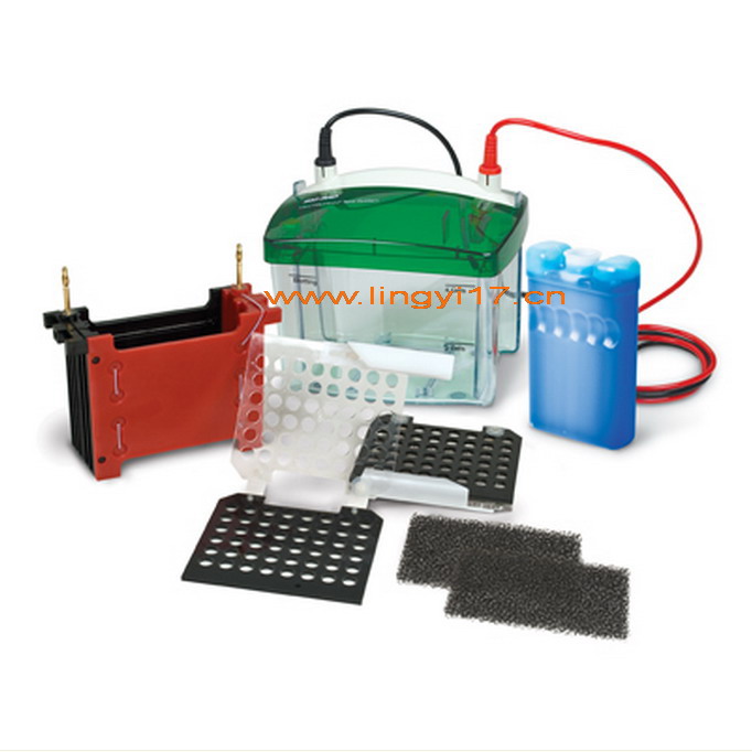 BIO-RAD Mini Trans-Blot&reg;美國伯樂小型轉(zhuǎn)印槽，迷你濕轉(zhuǎn)印槽1703930