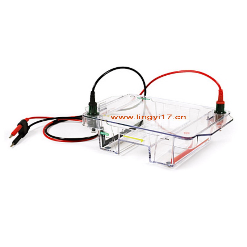 Bio-rad Mini-Sub Cell GT Cell美國(guó)伯樂(lè)寬式迷你水平電泳槽1704469