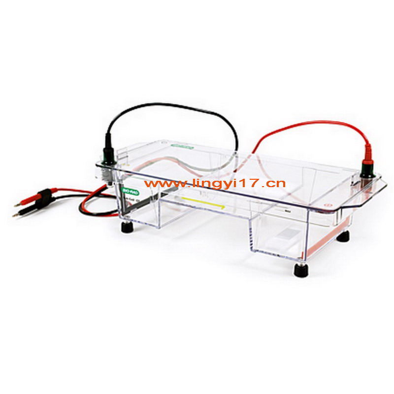 Bio-rad美國(guó)伯樂中型水平電泳槽Sub-Cell&reg;GT Cell1704481