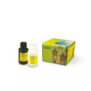 伯樂Clarity Western ECL Substrate 200 ml#1705060/1705061