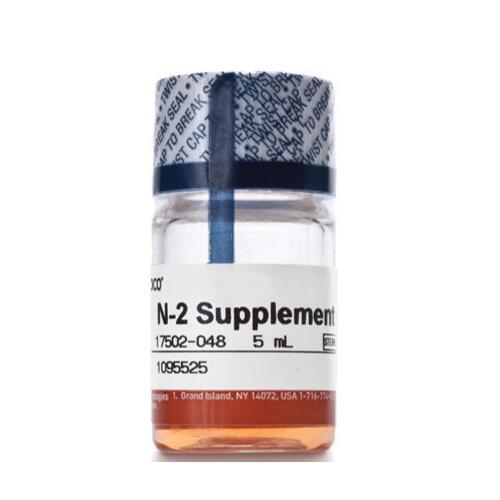 Gibco N-2添加劑5毫升17502048 (100X)
