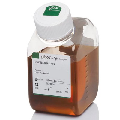 Life Gibco胎牛血清，新西蘭來源，胚胎干細(xì)胞合格30044333，30044184