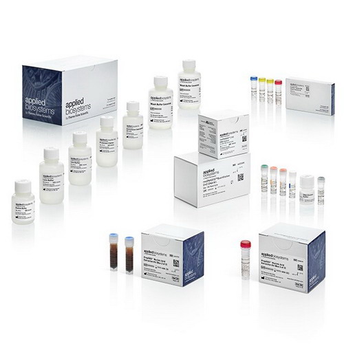 ABI實(shí)時(shí)熒光定量PCR試劑盒4402085 resDNASEQ 定量 CHO DNA系列4413713