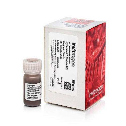 Thermo賽默飛磁珠80104G DynaGreen Protein A/G間接法免疫沉淀80105G 80106G