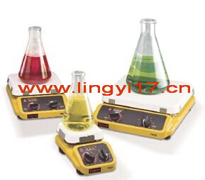 美國熱電Thermo Scientific Cimarec加熱磁力攪拌器