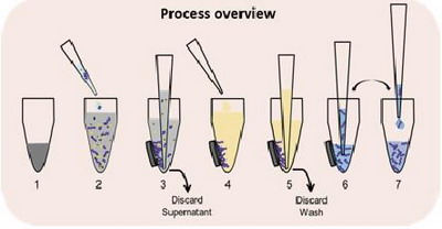 康寧AxyMag Nano PCR產(chǎn)物純化試劑盒