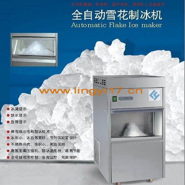 全自動雪花制冰機(jī)LXB-50，制冰量:50kg/24h