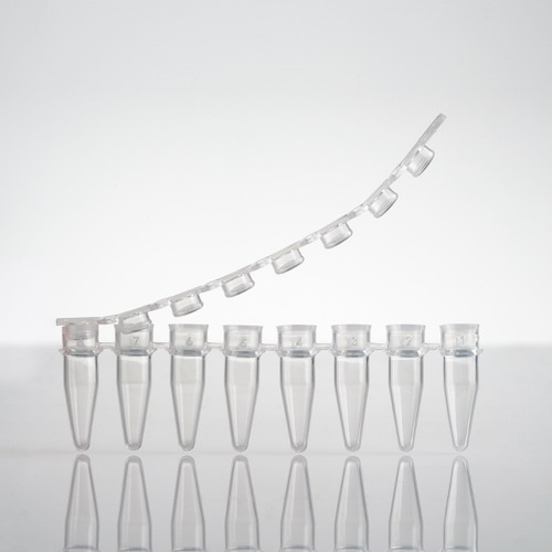 艾本德Lavibe PCR單管224402000八連管 8聯(lián)管2244020007