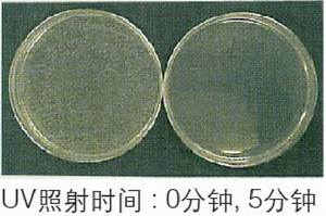 日本松下(原三洋)二氧化碳培養(yǎng)箱MCO-20AIC，容積：215L