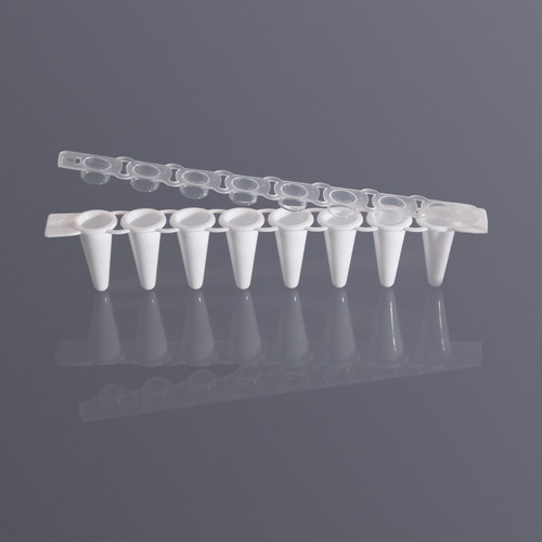 Axygen愛思進(jìn)0.1 mL白色八連管和熒光蓋PCR-0108-LP-RT-W