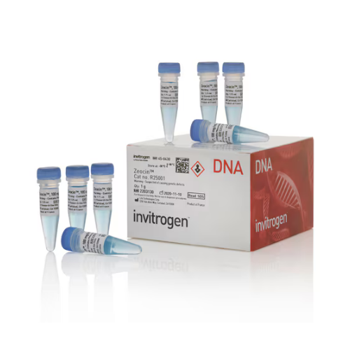 賽默飛 Thermo Gibco Zeocin篩選試劑 R25001