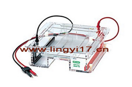 美國(guó)Bio-rad伯樂Sub-Cell Model 96水平型電泳槽1704502