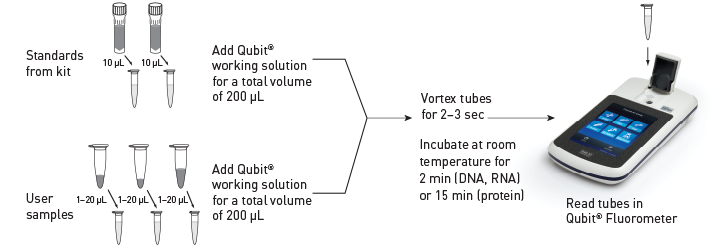 美國(guó)Life Invitrogen Qubit&reg; 3.0熒光定量?jī)xQ33216，Q33217，Q33218